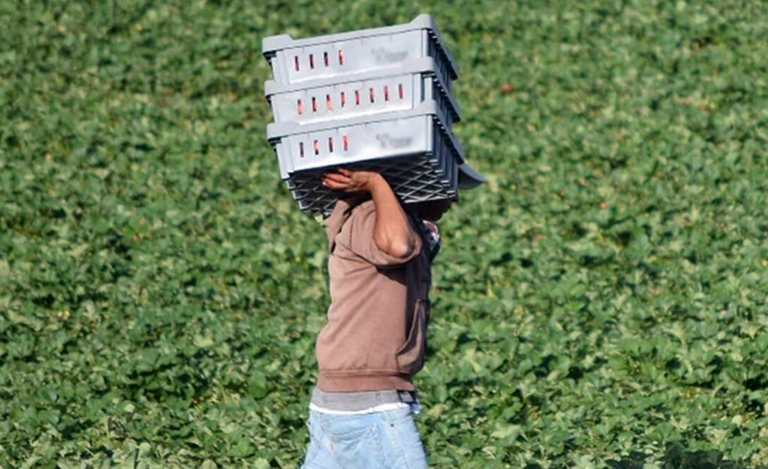 Imagen Ilustrativa | Foto: Archivo El Universal