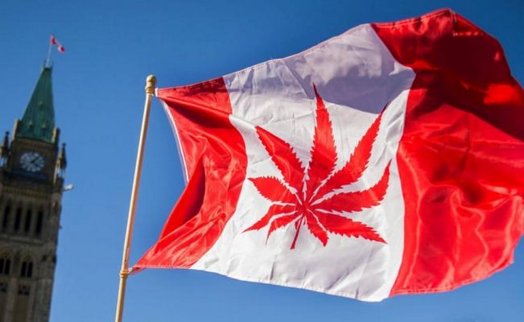 Cannabis legal en Canadá: escasez en los primeros días de consumo legal