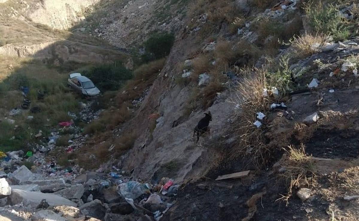 Investiga Fiscalía de SLP hallazgo de tres cadáveres en tiradero de SLP; entre ellos el de un menor