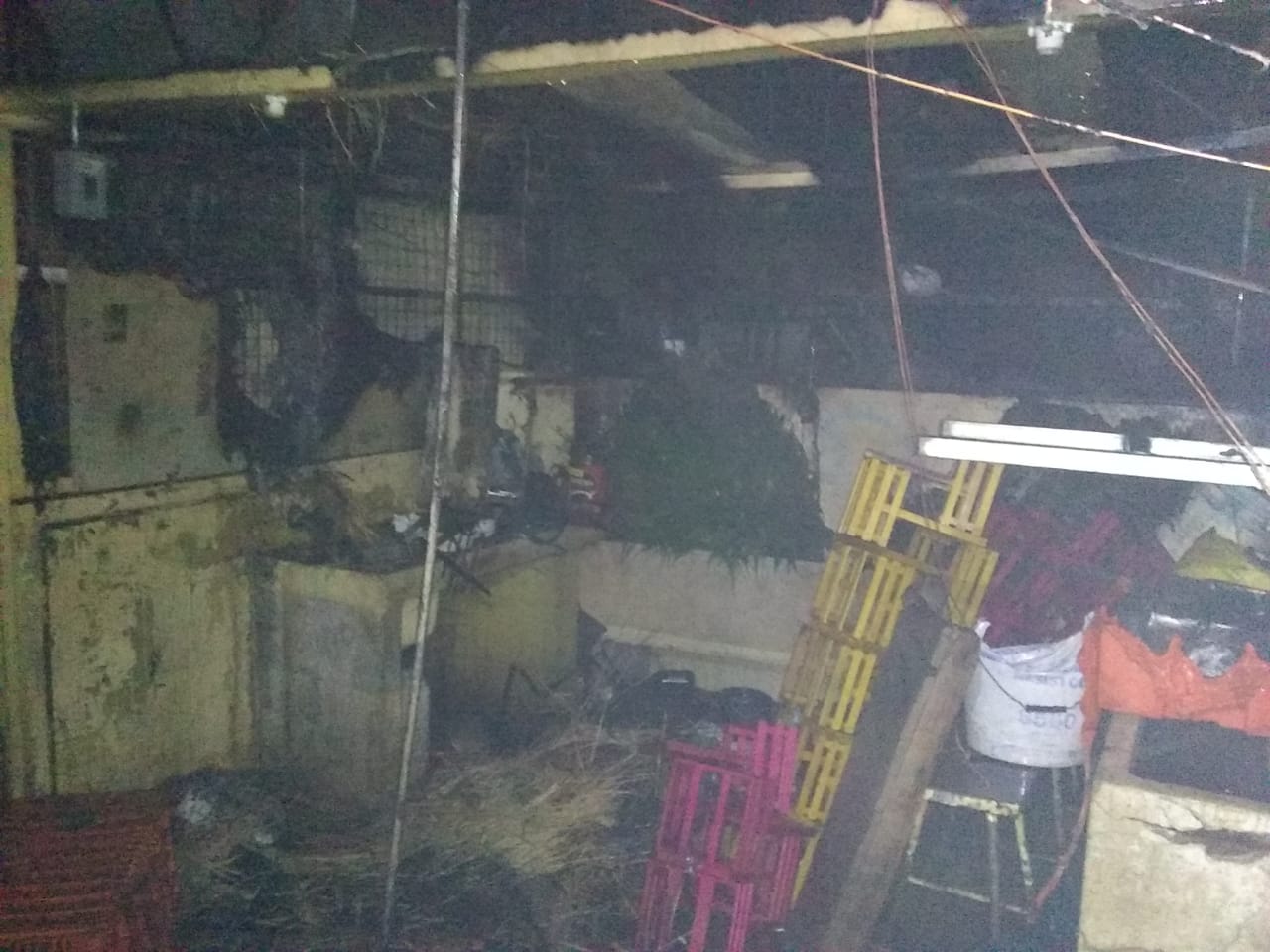 Incendio consume 12 locales en Mercado de las Flores de Xochimilco