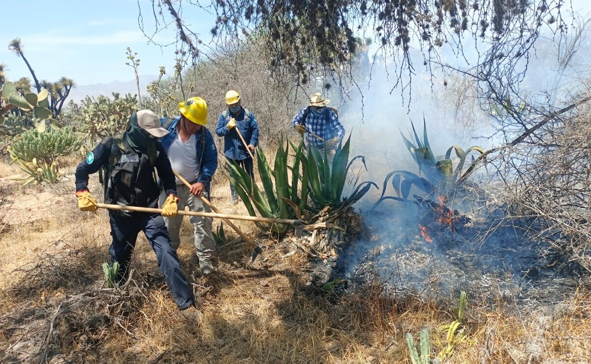 Combatientes forestales de SLP. Foto: Especial