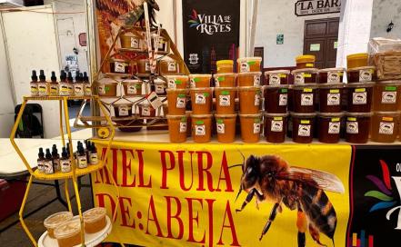 Los colores de la miel de Villa de Reyes, tan diversos como las flores en SLP