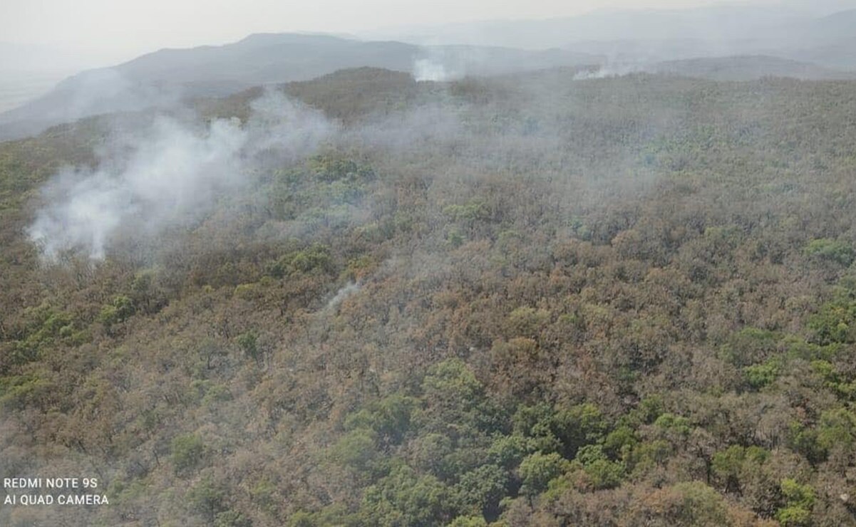 Incendio forestal en Ciudad del Maíz, SLP. Foto: Especial