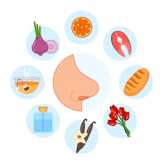 Foto: juegosinfantiles.bosquedefantasias.com.