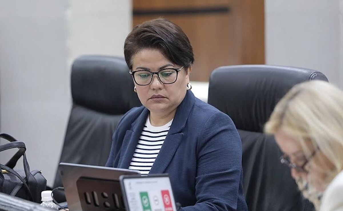 IMSS-Bienestar en San Luis Potosí ha resultado un fracaso: Diputada Mireya Vancini. Foto: Especial