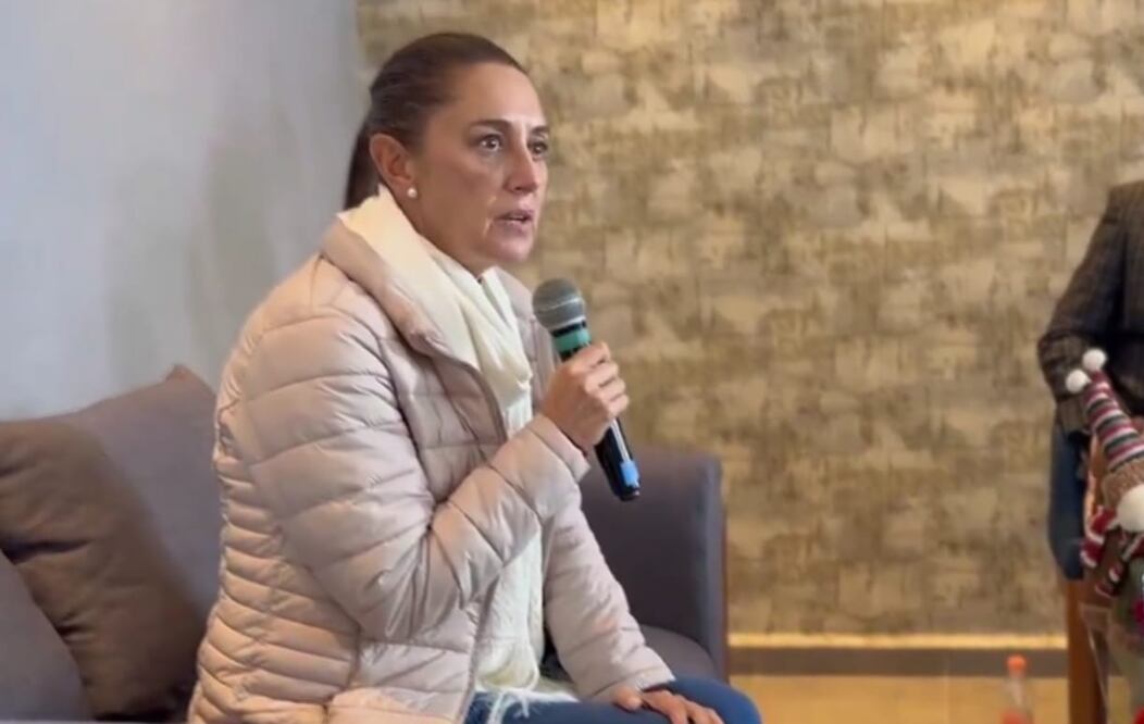 PVEM y Morena no irán juntos en candidaturas al Senado de la República en SLP, revela SheinbauM. Foto: Especial