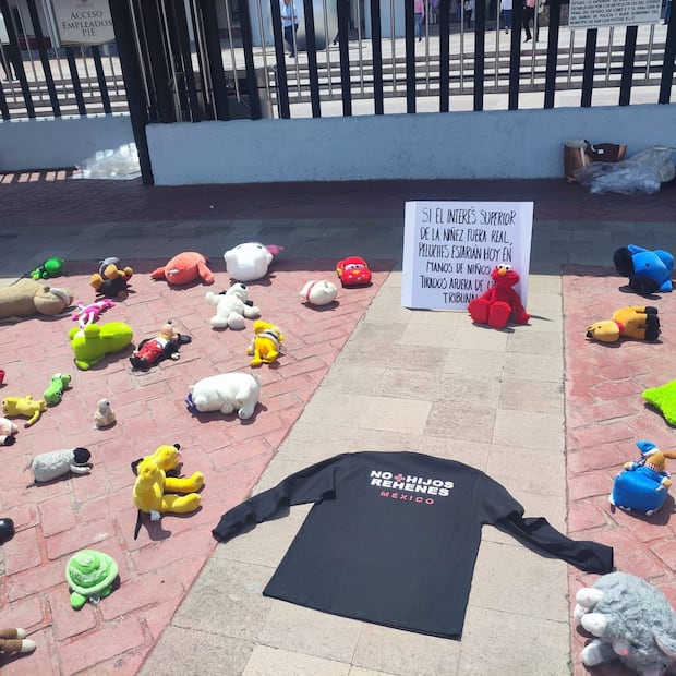 Foto: No más hijos rehenes SLP