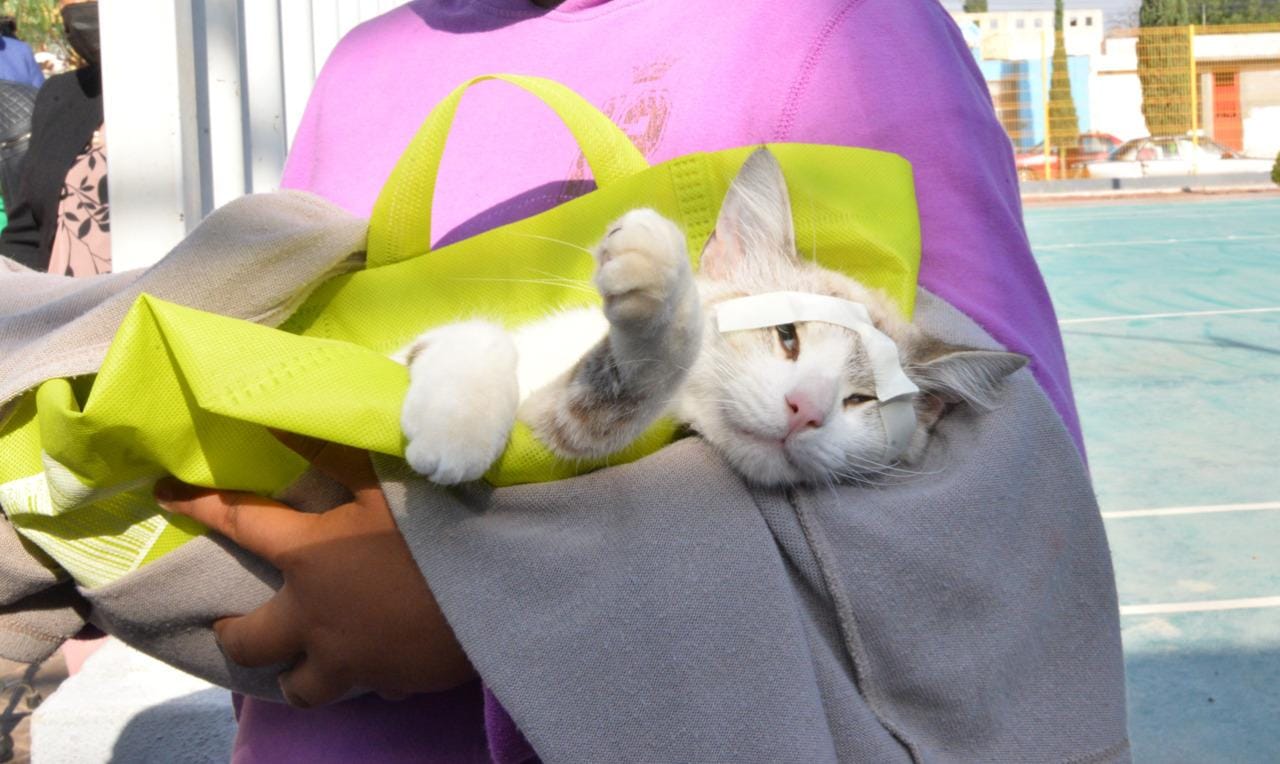 Con el Refugio de mascotas buscan impulsar el cuidado animal en Soledad, SLP