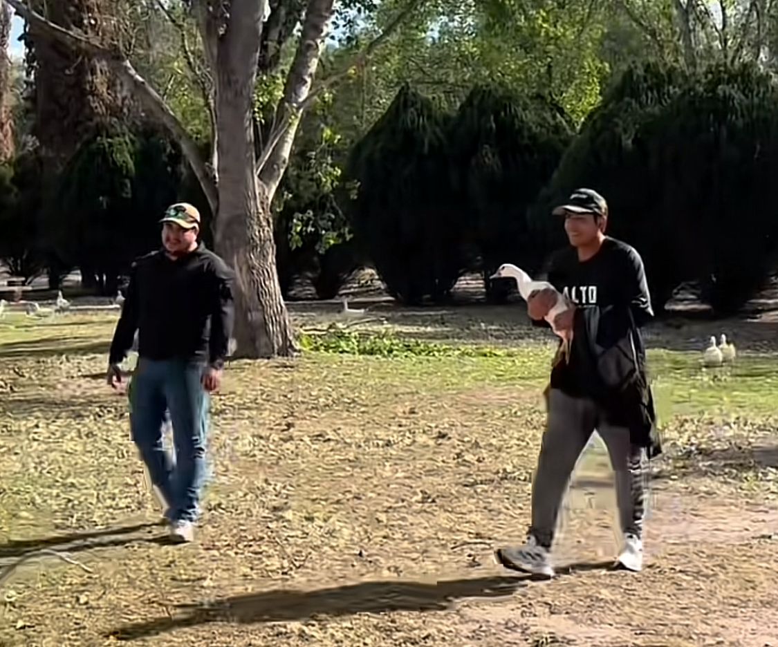 Foto: Captura de video