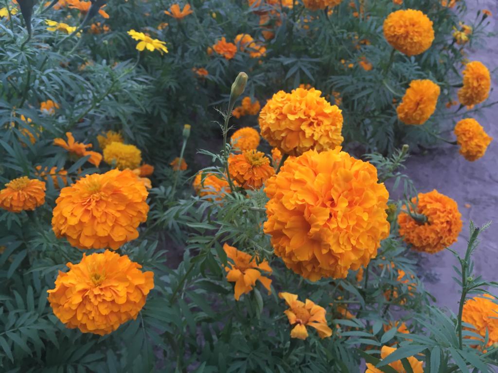 Foto: Regina Arellano