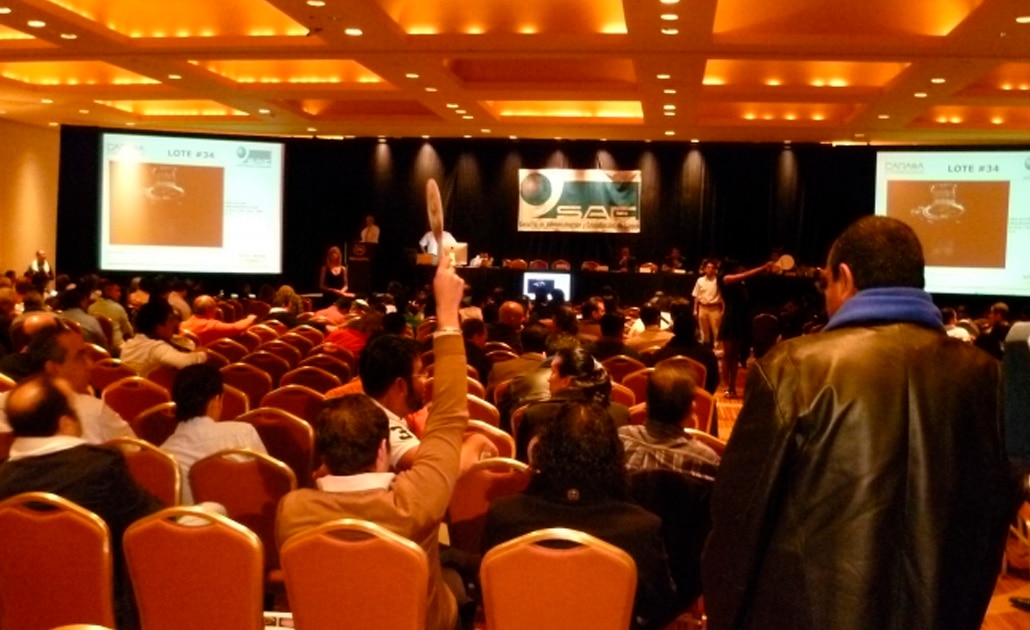 Foto: Archivo El Universal