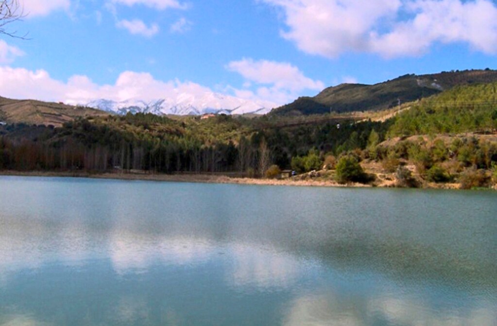 FOTO: Archivo. El Universal San Luis Potosí.
