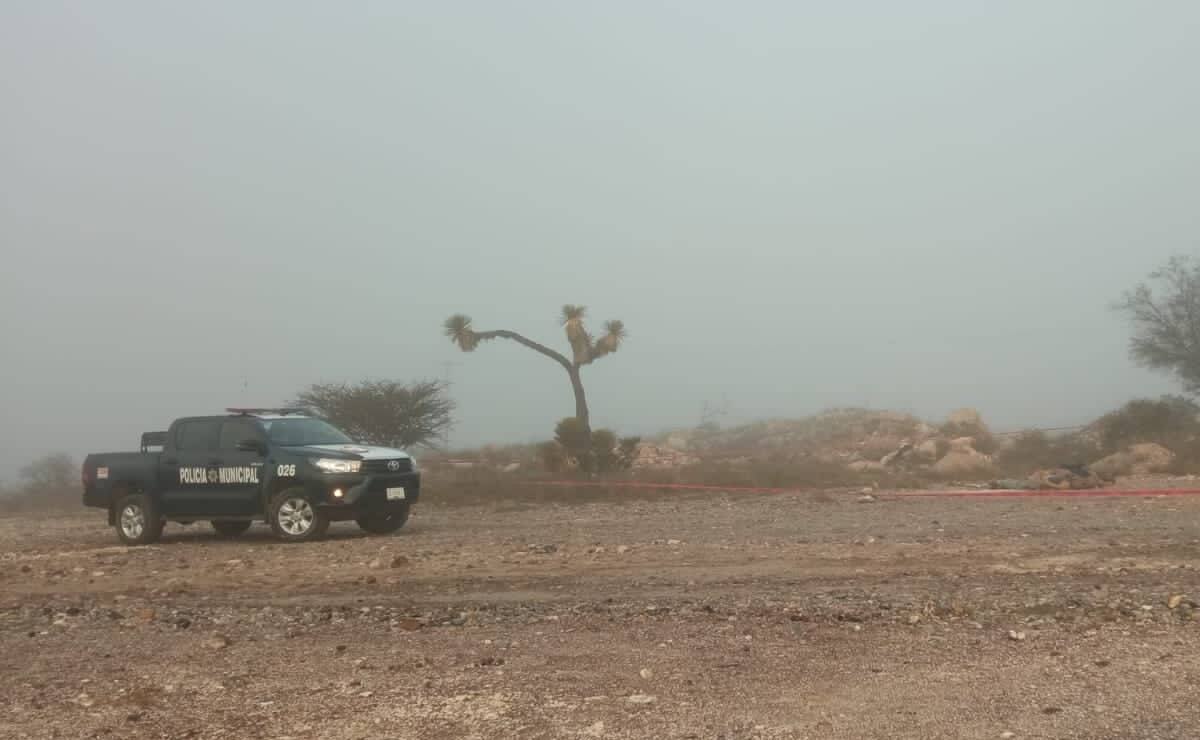 Mañana de terror en Zaragoza; localizan 4 cuerpos desmembrados en el municipio