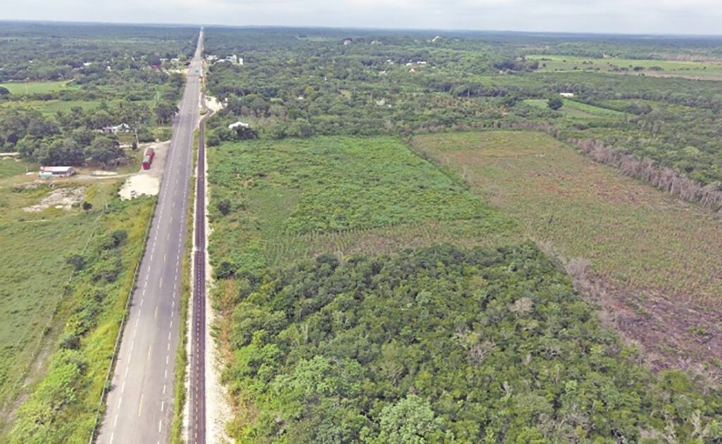 Tren Maya: van a ciegas a consulta de megaproyecto de AMLO, acusan