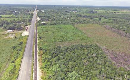 Tren Maya: van a ciegas a consulta de megaproyecto de AMLO, acusan