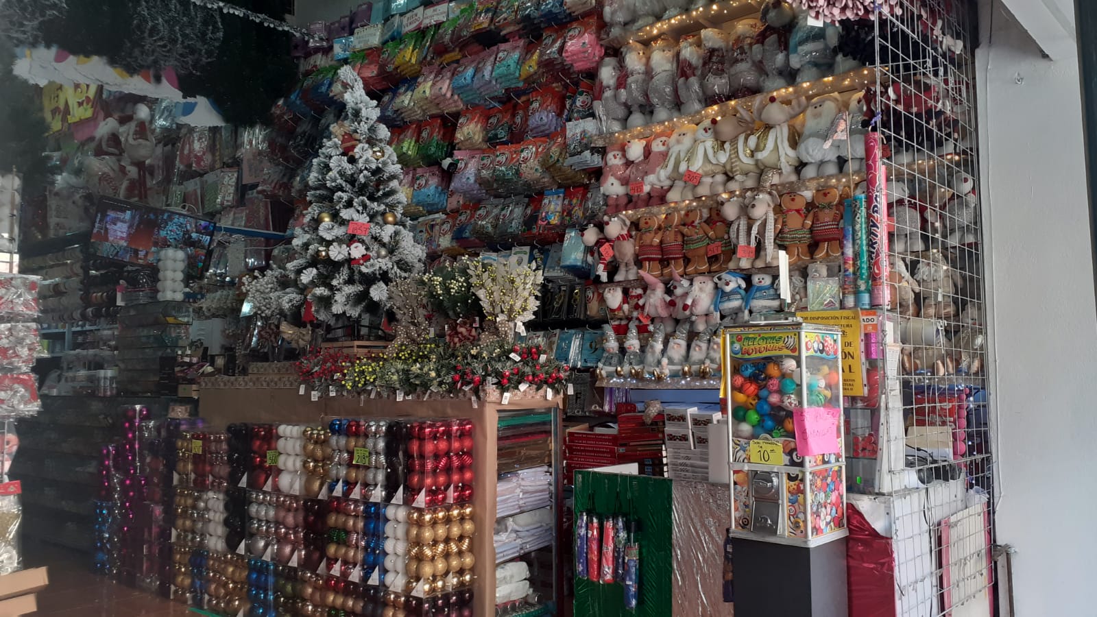 Foto: Regina Arellano