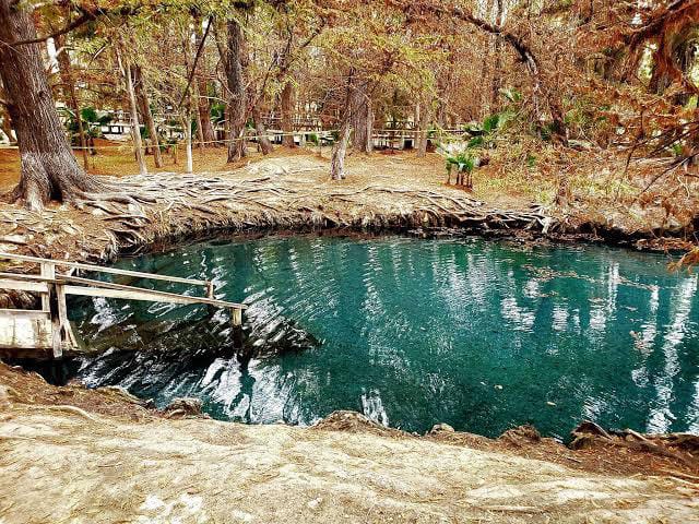 Foto: Jazmín Ramírez García