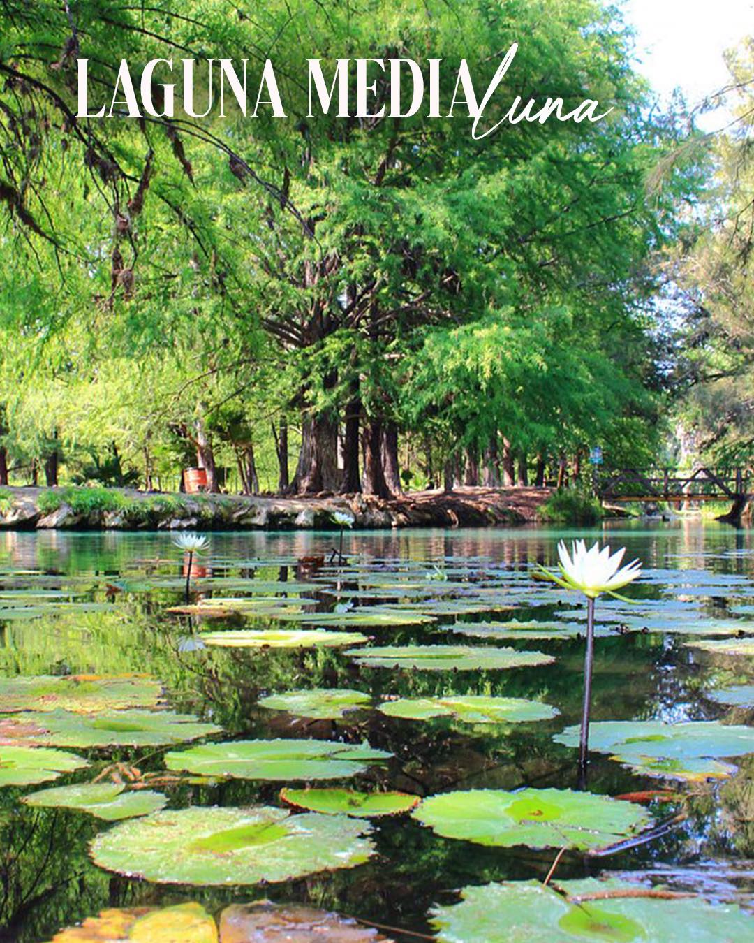 Foto: Facebook Ricardo Gallardo Cardona