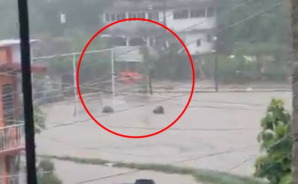 Foto: Captura de video