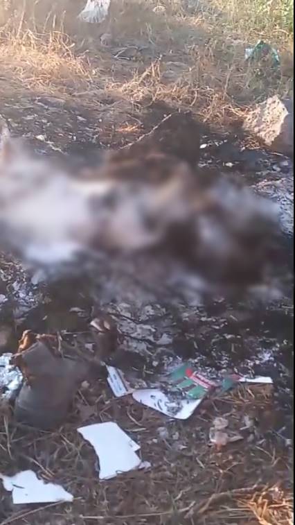 Foto: Tomada de video