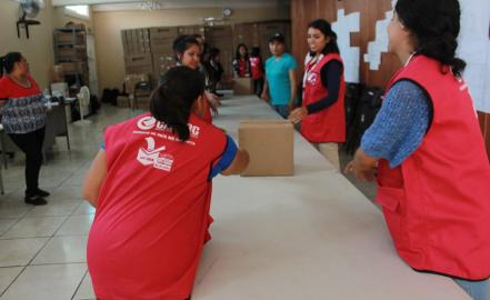 Piden al Ejército para vigilar material electoral en SGS