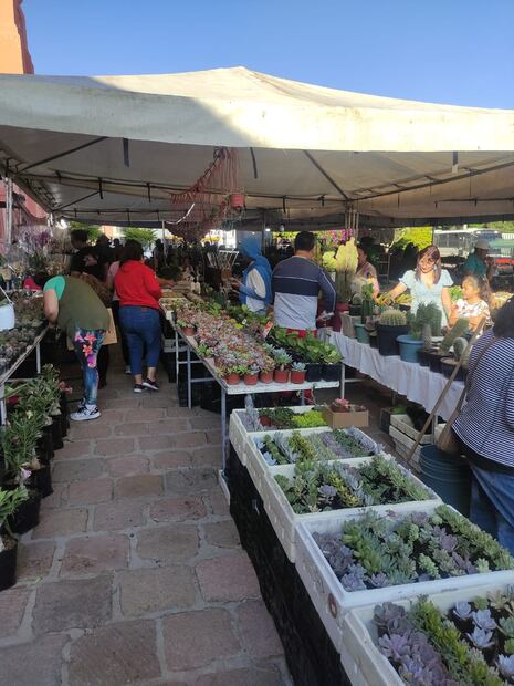 Foto: Jazmin Ramírez García