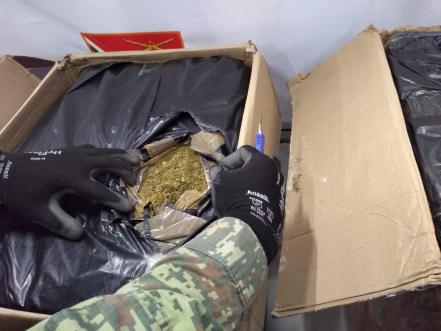 Aseguran 94 kilos de marihuana en aeropuerto de SLP