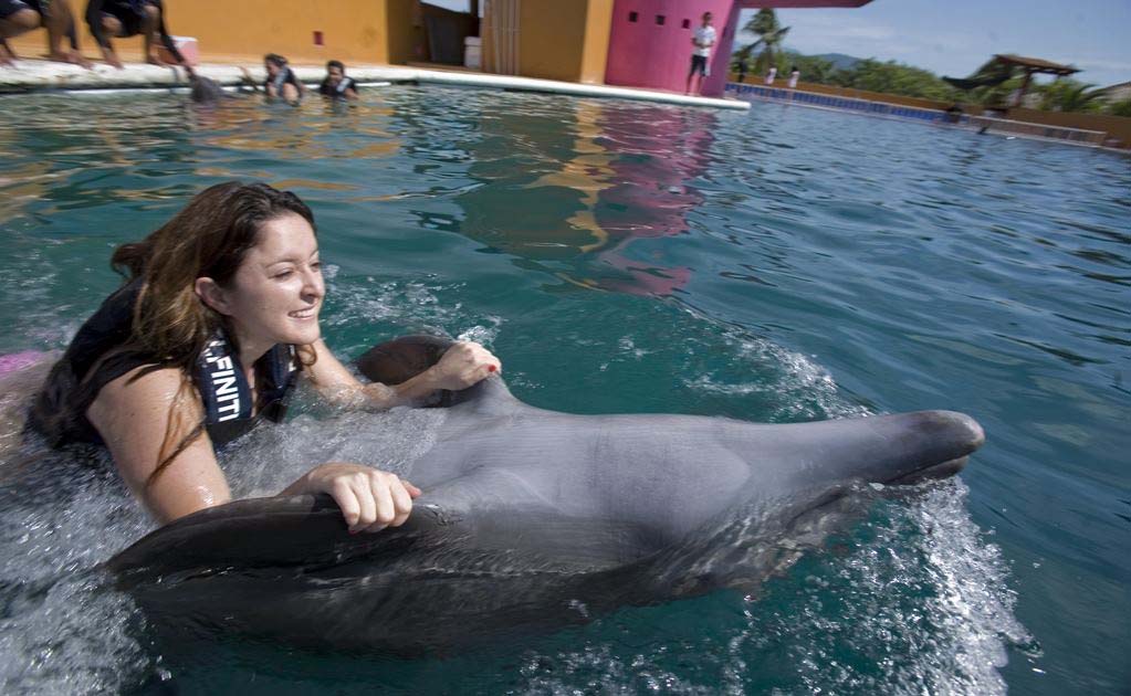Retoman en Soledad programa de delfinoterapia