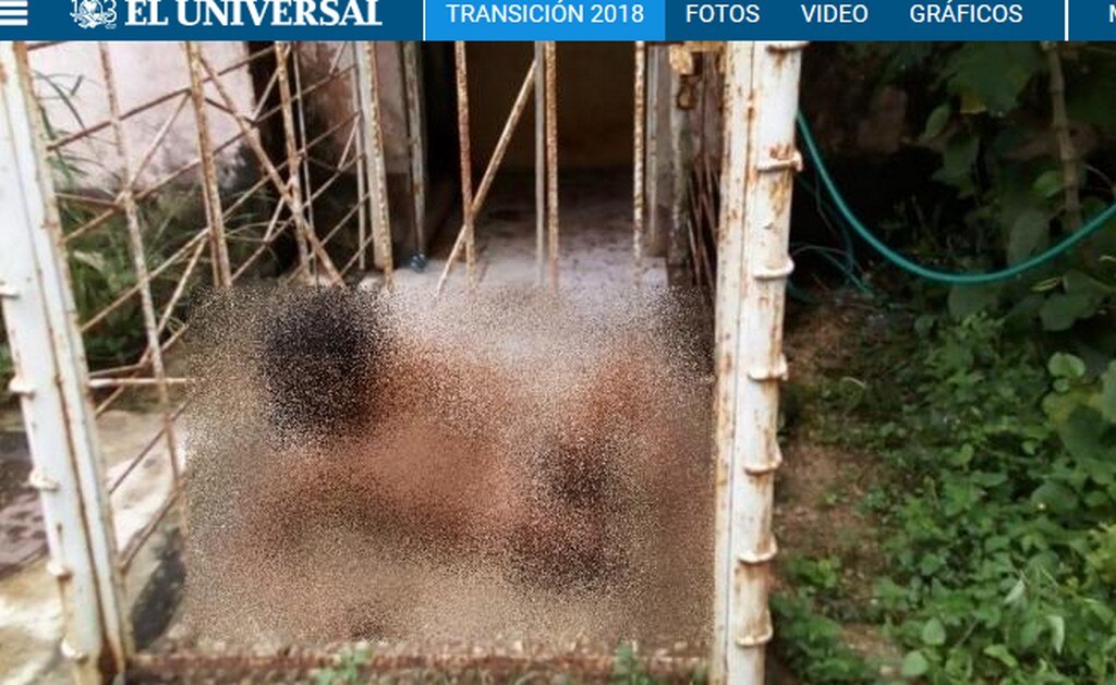 Encuentran a mujer encerrada en una jaula en Veracruz