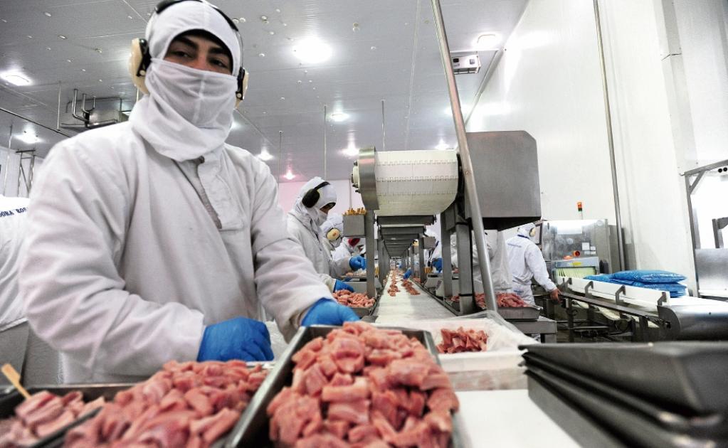 Sector porcino de EU, en crisis por guerra arancelaria