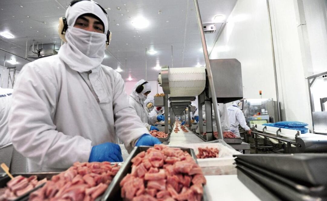 Sector porcino de EU, en crisis por guerra arancelaria