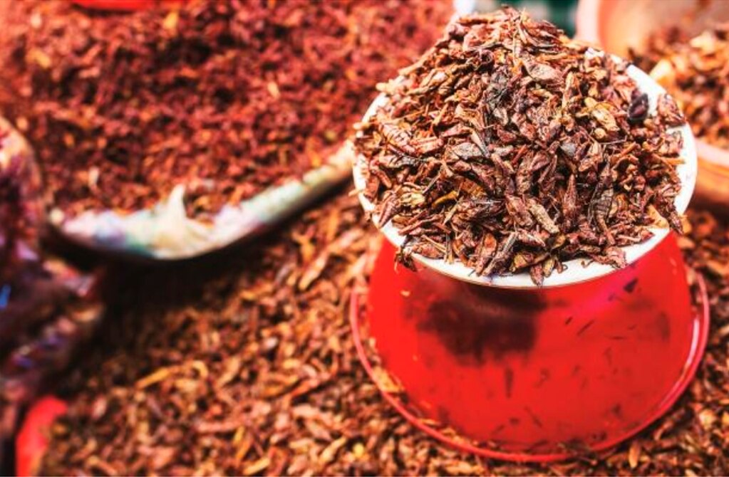 Ayuntamiento buscaría que CEDH intervenga en caso de vendedores de chapulines