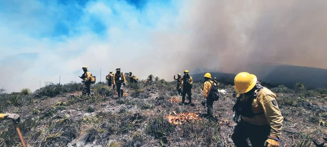 Fue el pasado domingo 7 de abril que comenzó un incendio forestal en la Sierra de San Miguelito. Foto:  Conafor Oficial, Leones