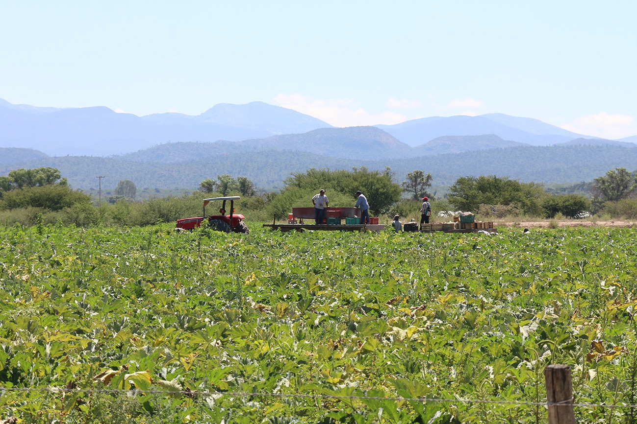 Destinan más de 3.8 mdp en beneficio de productores y comunidades de SLP