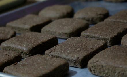 Potosina crea galleta con alto valor nutrimental