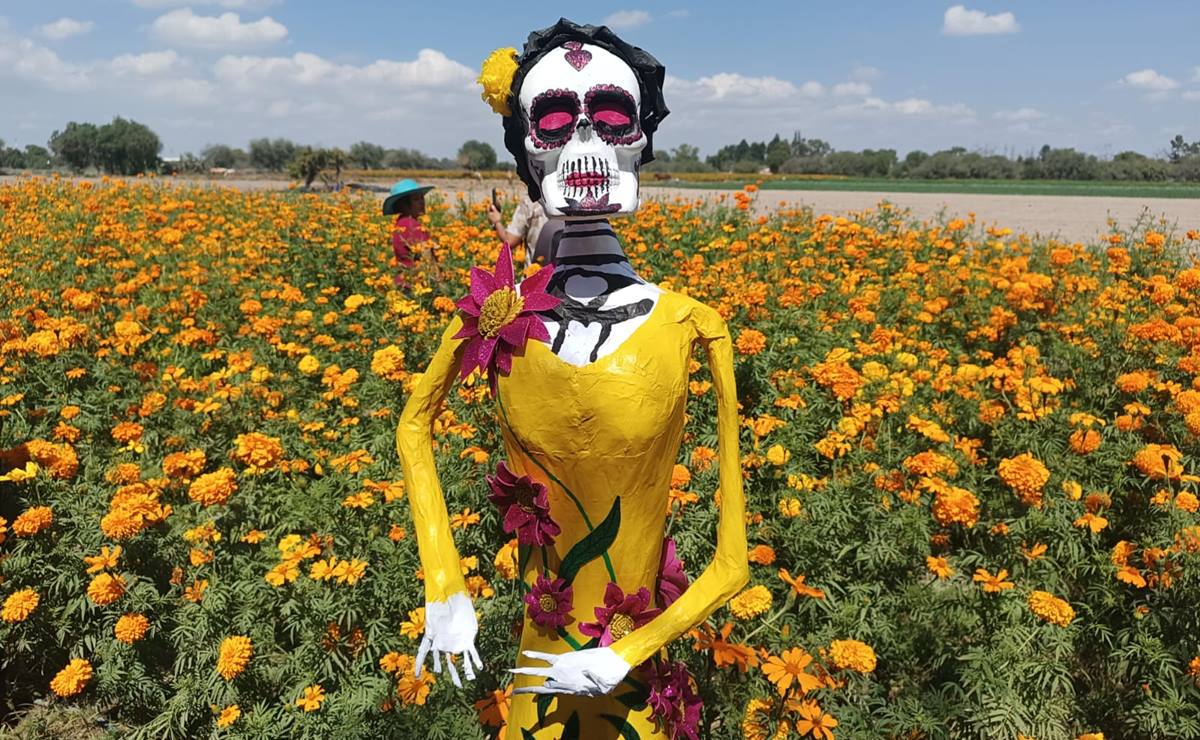 Xantolo 2024 se queda sin París, conoce la nueva ciudad a dónde llegará la festividad de SLP