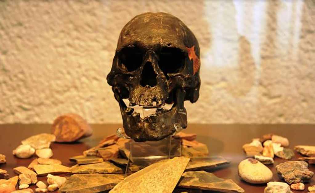 Exhiben recreación del cráneo fósil del Hombre de Chimalhuacán