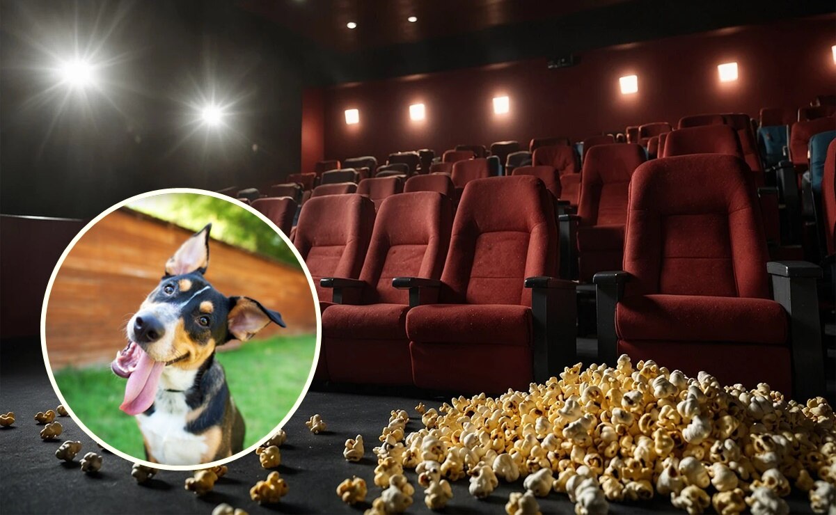 Cine pet friendly, así puedes asistir a la función especial para lomitos en la Cineteca Alameda