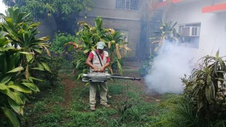 SLP acumula 85 casos de dengue: Secretaría de Salud