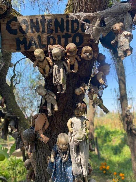 Isla de las Muñecas. Foto: Isla De Las Muñecas de Don Julián