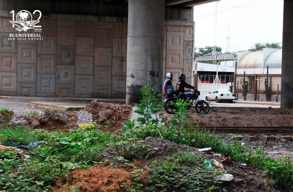 Foto: Martha Alicia Blanco | El Universal San Luis Potosí