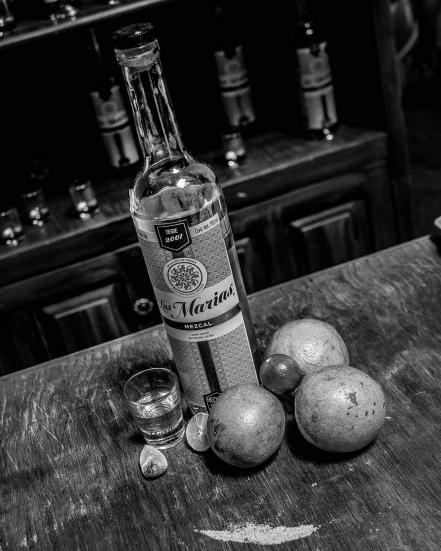 Estos son los mezcales de SLP galardonados en concurso nacional de destilados 2021