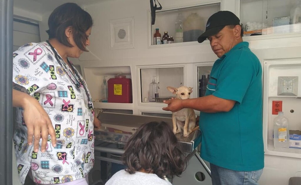 ¿Cuándo realizarán la jornada de vacunación antirrábica de perros y gatos en Soledad?