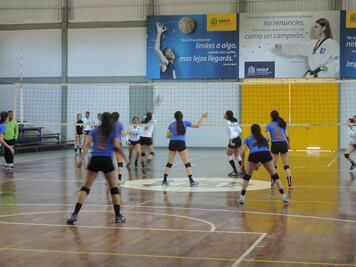 Promueven participación deportiva entre estudiantes