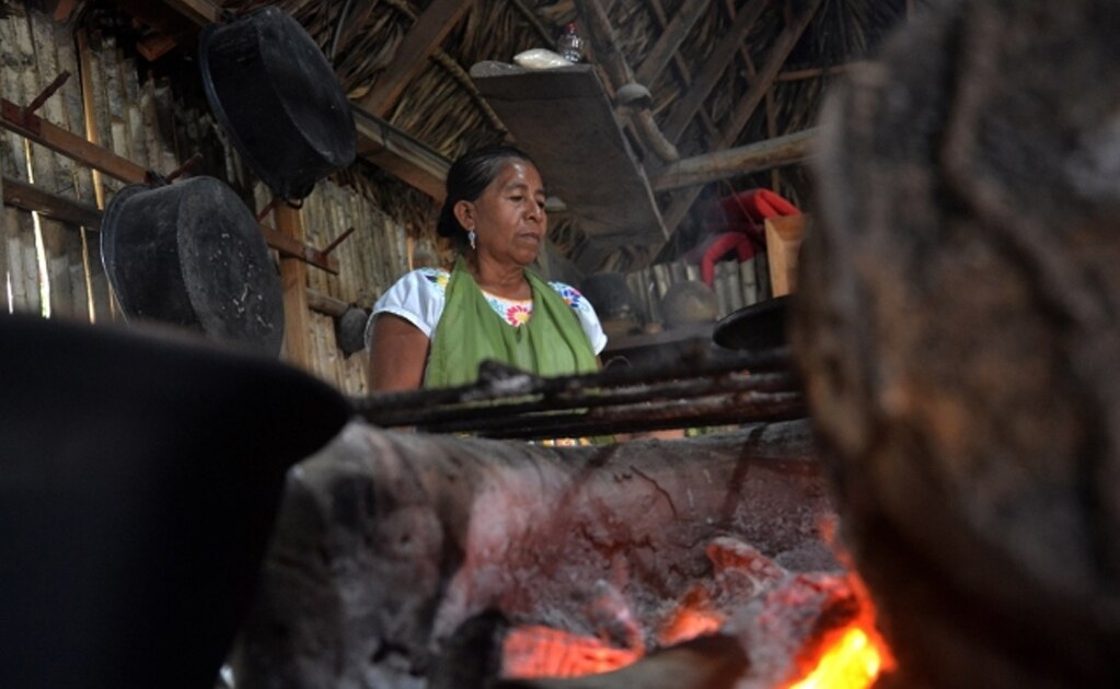 Mujeres de Humo, una rebelión de dos décadas en Veracruz