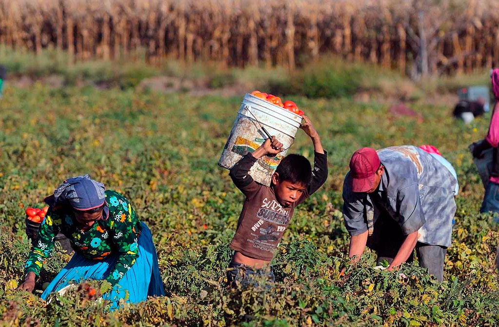 Detecta CEDH 5 casos por trata de personas en SLP