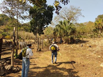 Se han registrado cinco incendios en la última semana en SLP; 111 hectáreas han sido afectadas
