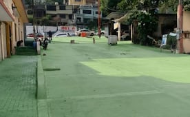 Sedatu podría emitir recomendación al Ayuntamiento de Tamazunchale por pintar de verde calles y banquetas