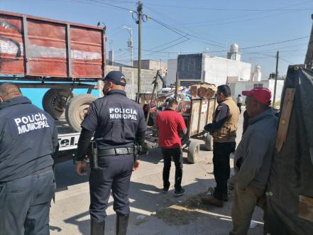 Rescatan a caballos usados por carretoneros de basura en Soledad