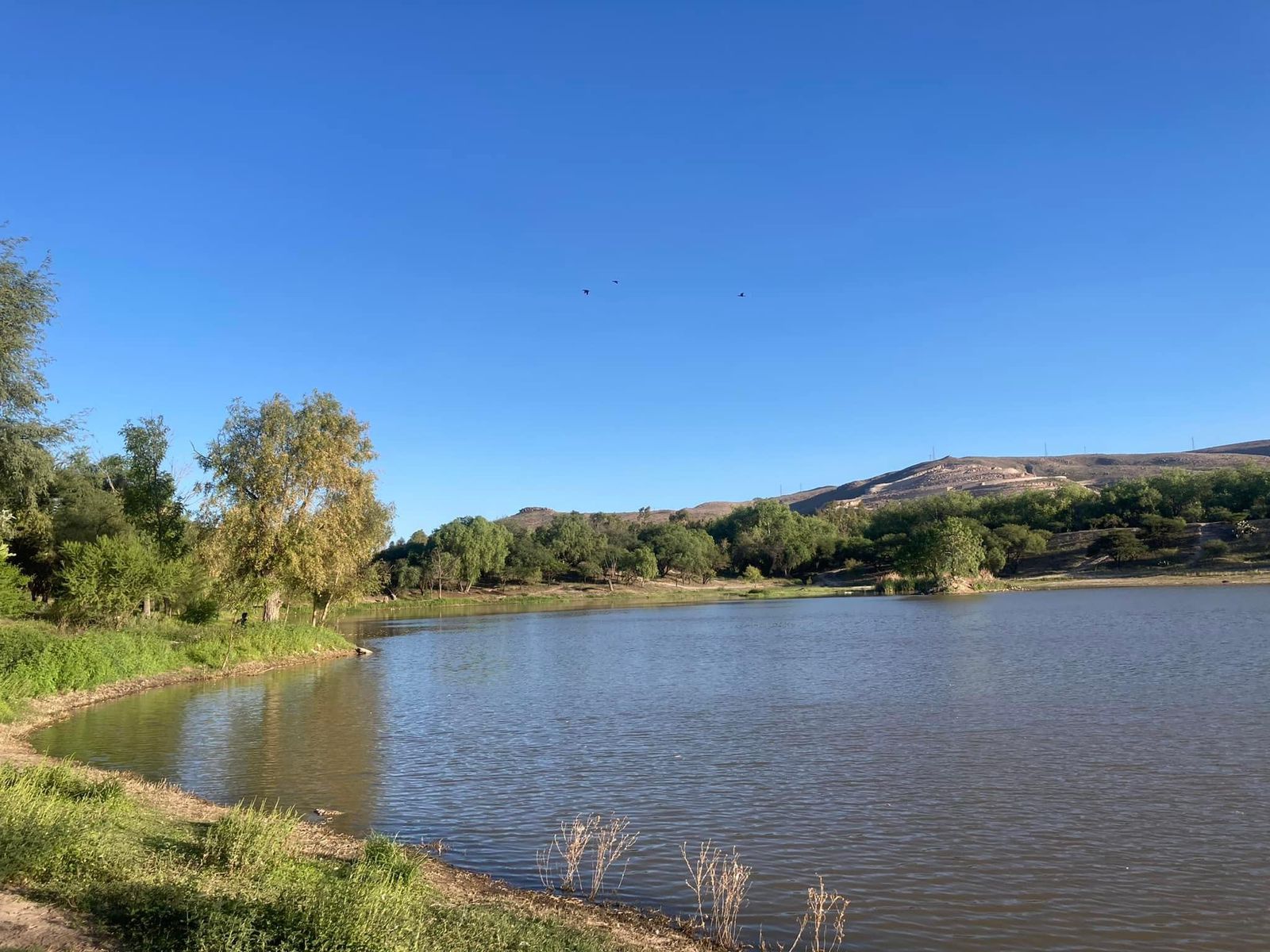 Foto: Tomada de redes sociales Samuel Salazar